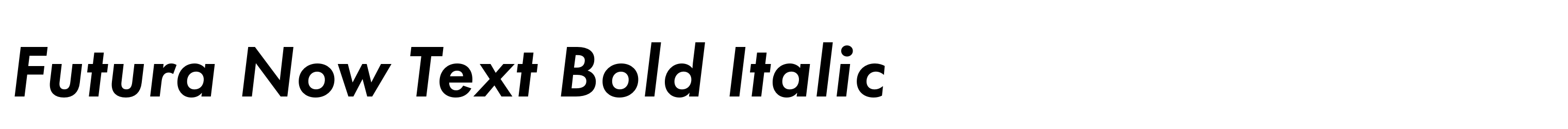 Futura Now Text Bold Italic